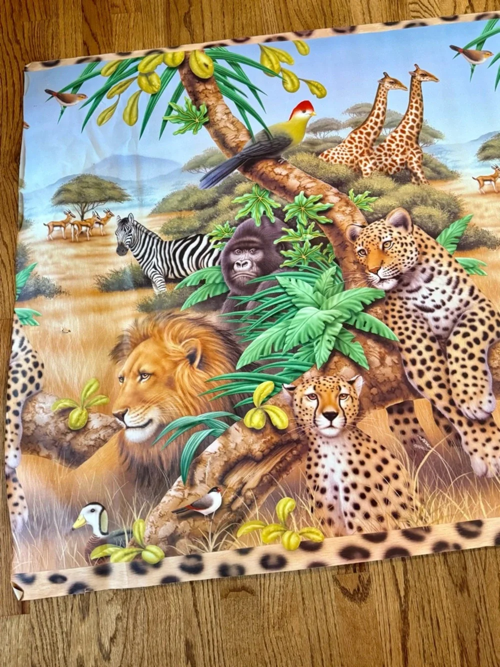 Unknown vintage safari